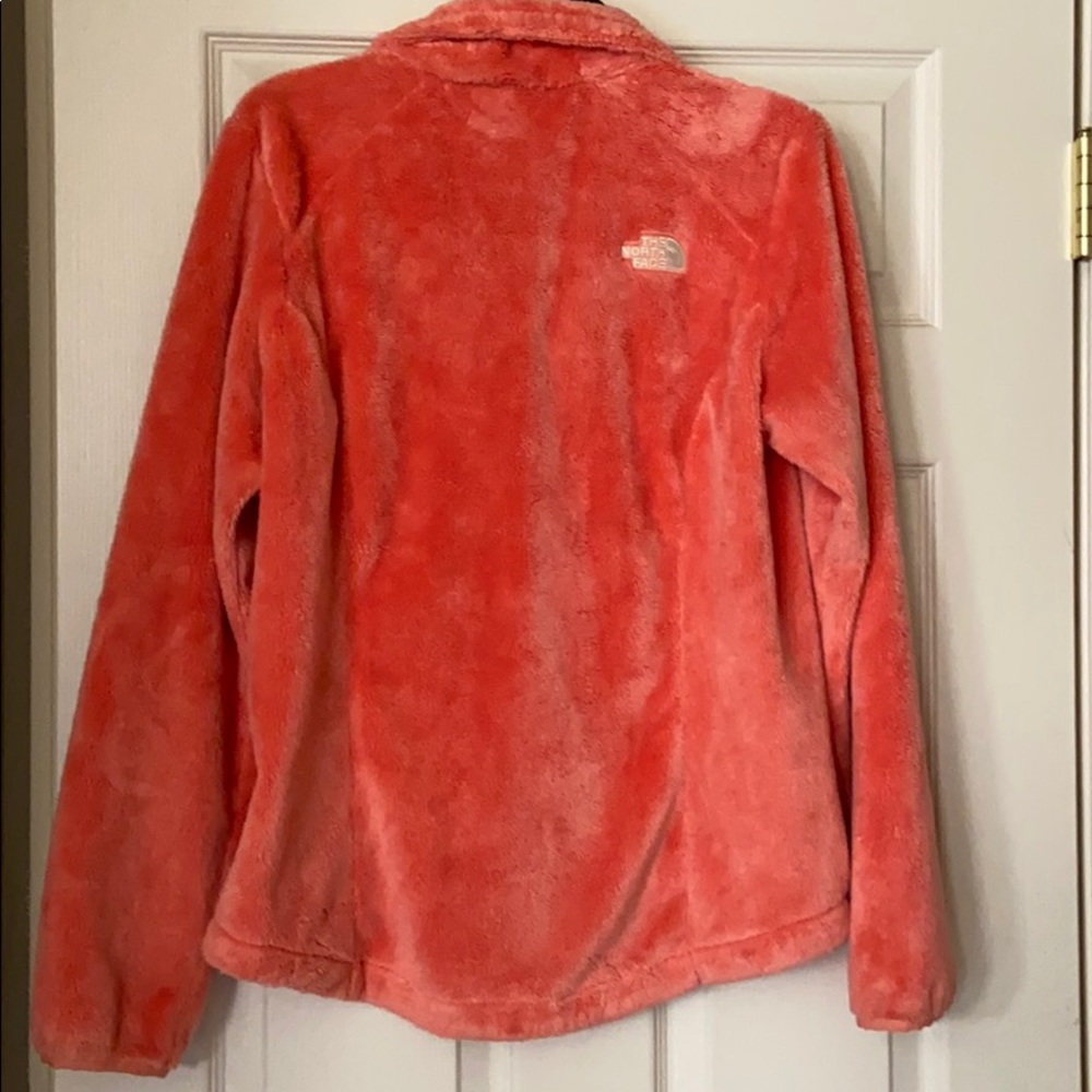 Teddy bear jacket - Picture 3 of 3